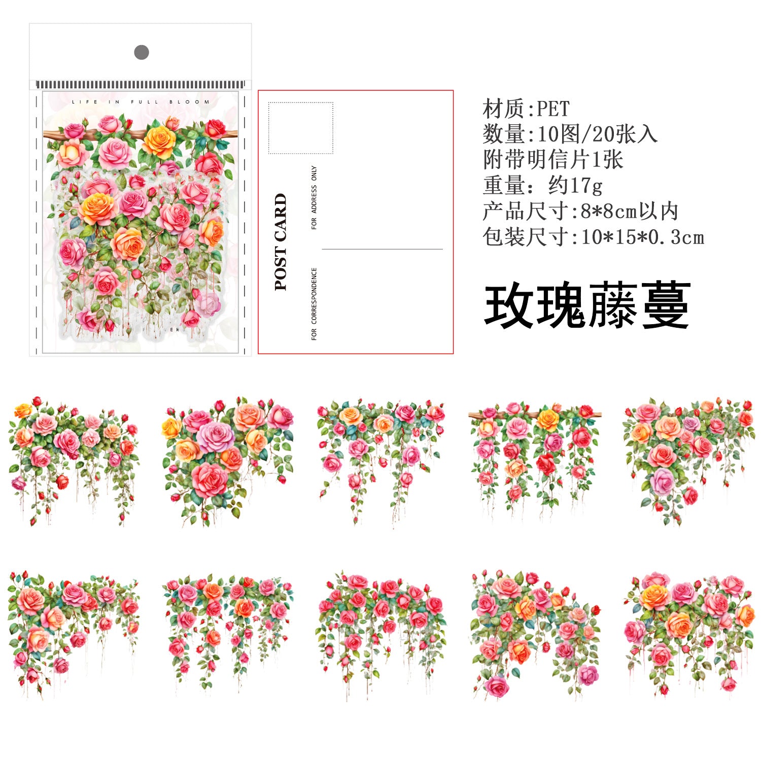 Ancient Forest PET Sticker Pack, Vine Branch & Flower Series, 6 Options - ViktaShop