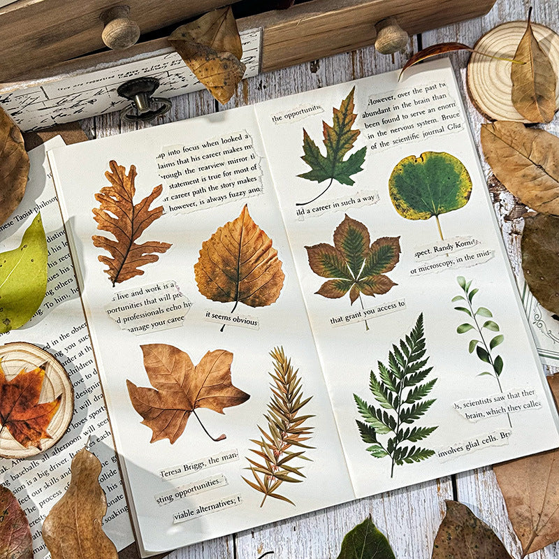 Cross-border Fallen Leaves Series Retro Collage Stickers 6 Options - ViktaShop