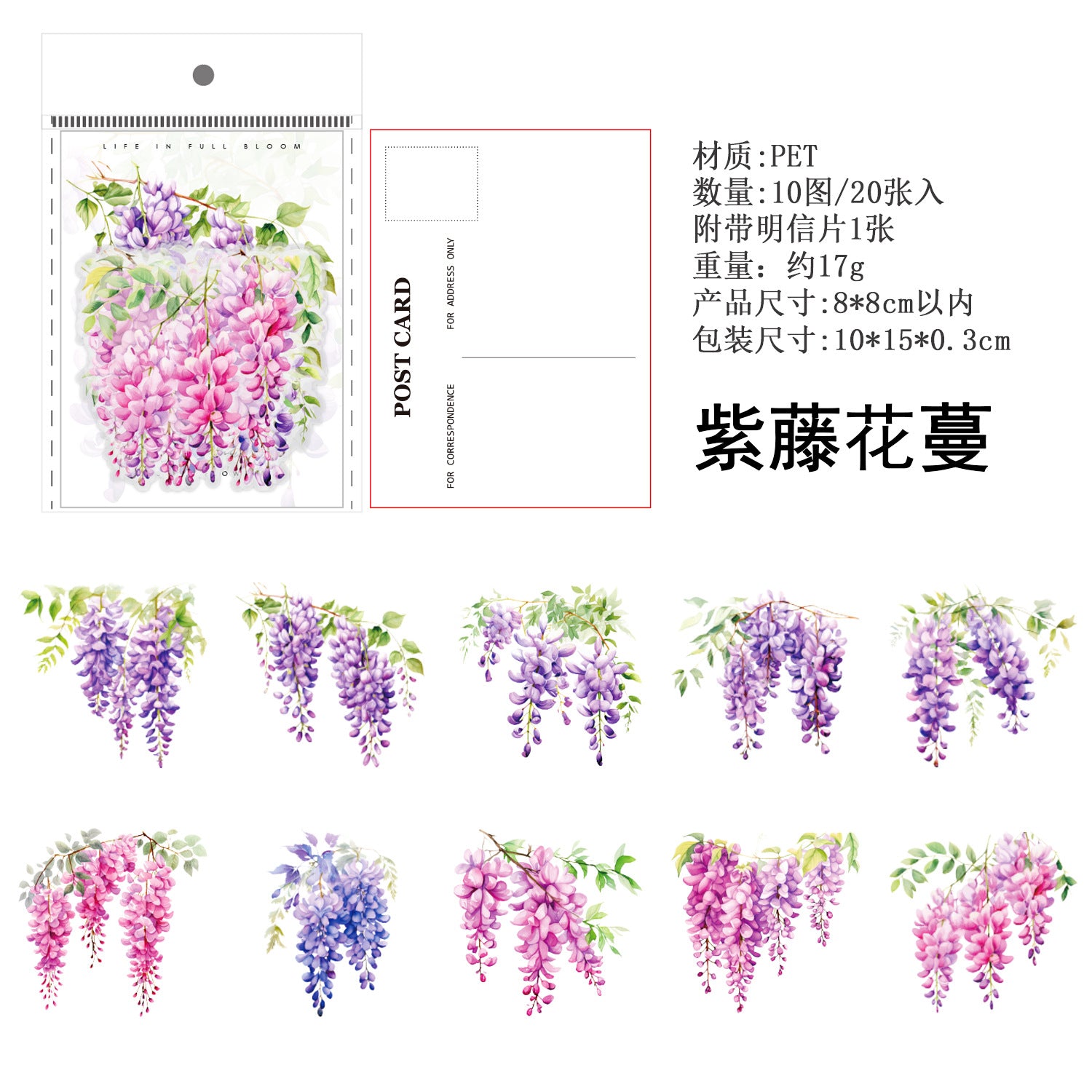 Ancient Forest PET Sticker Pack, Vine Branch & Flower Series, 6 Options - ViktaShop