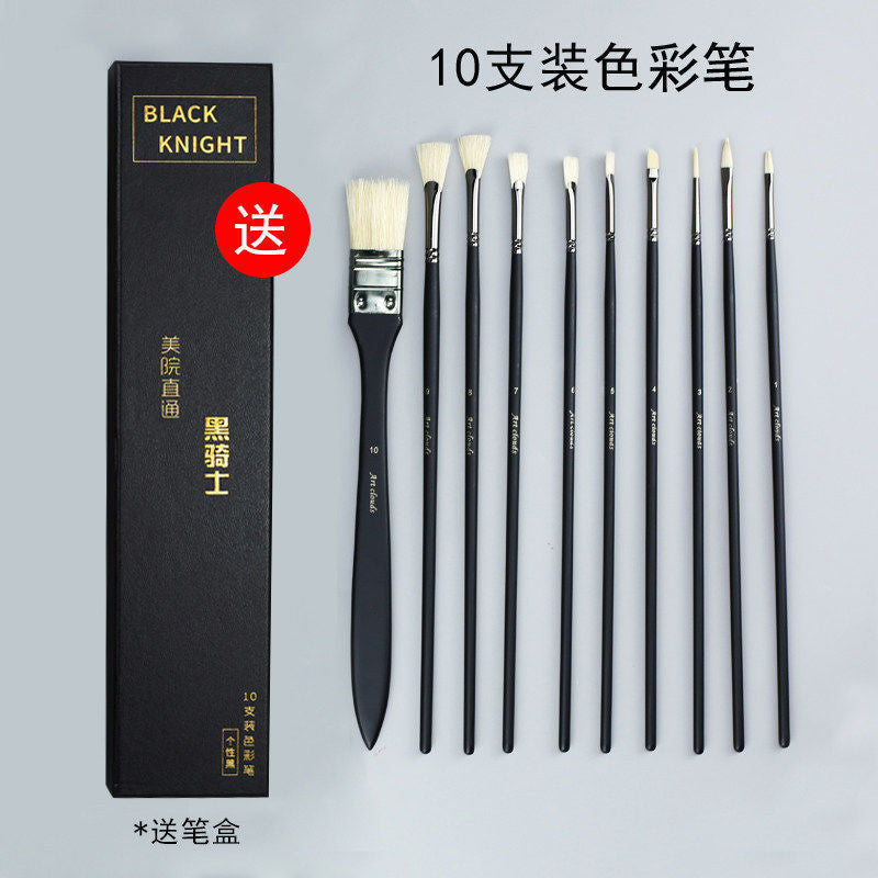 Mia Black Knight Gouache Set – Paint, Brushes & Fan Pen for Fine Arts - ViktaShop