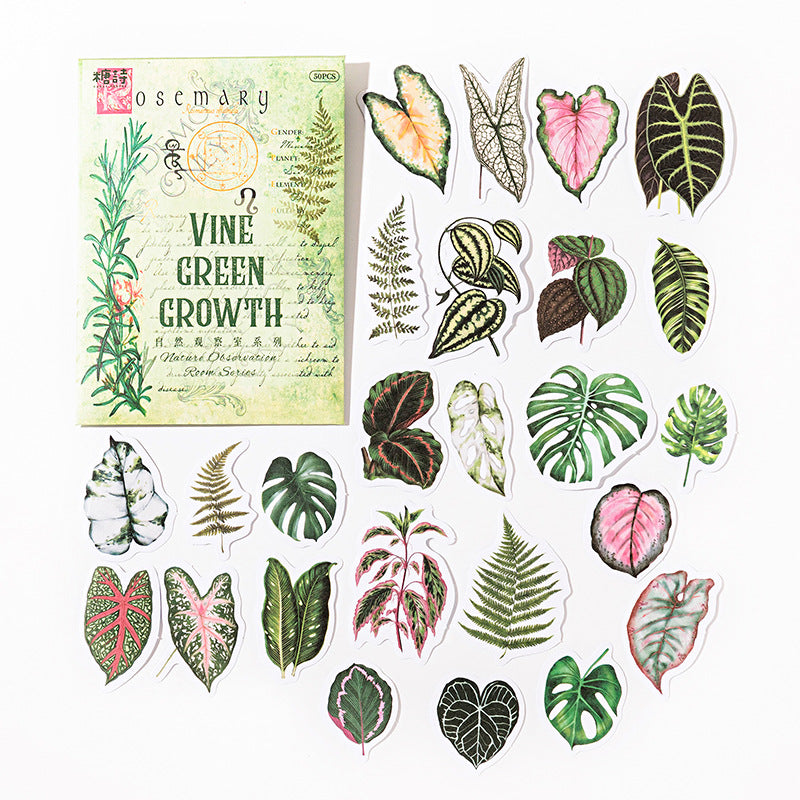 Natural Observation Room Series Retro Washi Stickers 6 Styles 50 Pcs