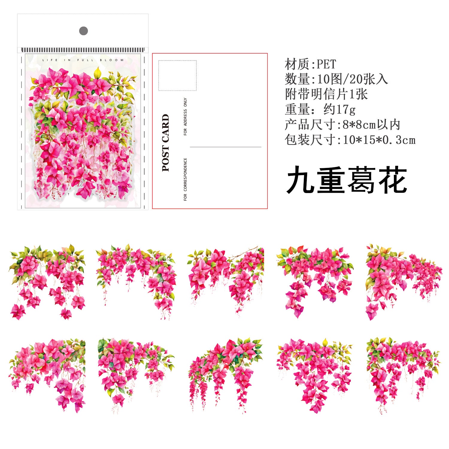 Ancient Forest PET Sticker Pack, Vine Branch & Flower Series, 6 Options - ViktaShop