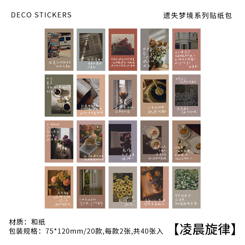 Lost Dream Paper Stickers - Retro Literary Series, 20 Pcs - ViktaShop
