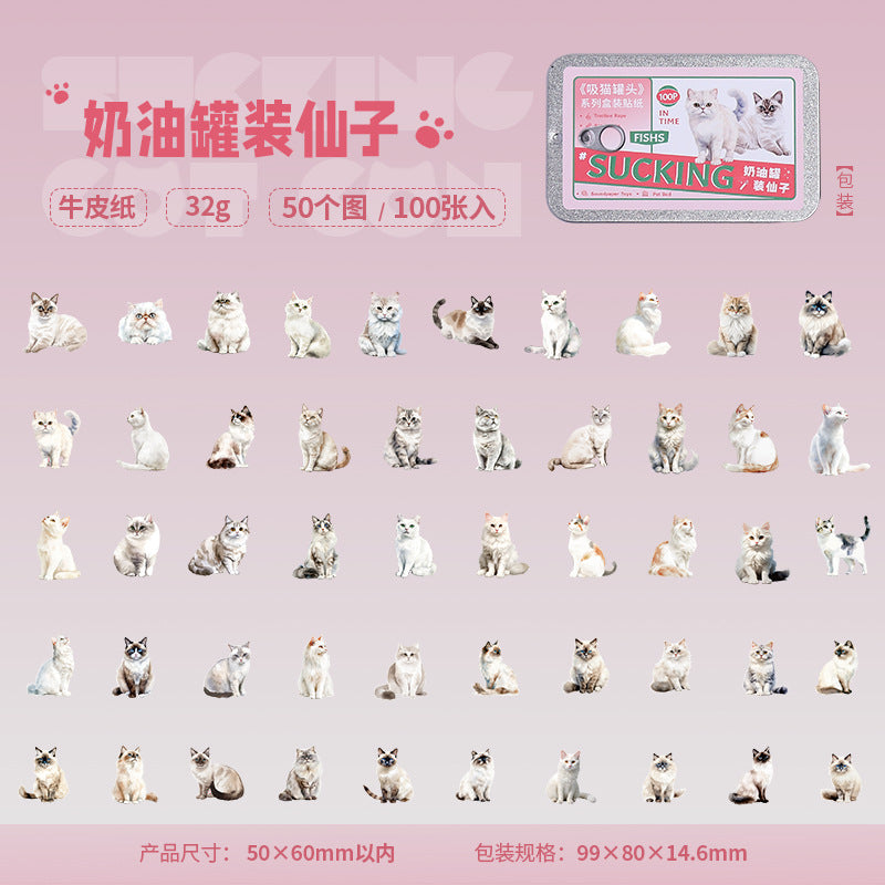 Boxed Stickers – Cat Series, 4 Options - ViktaShop