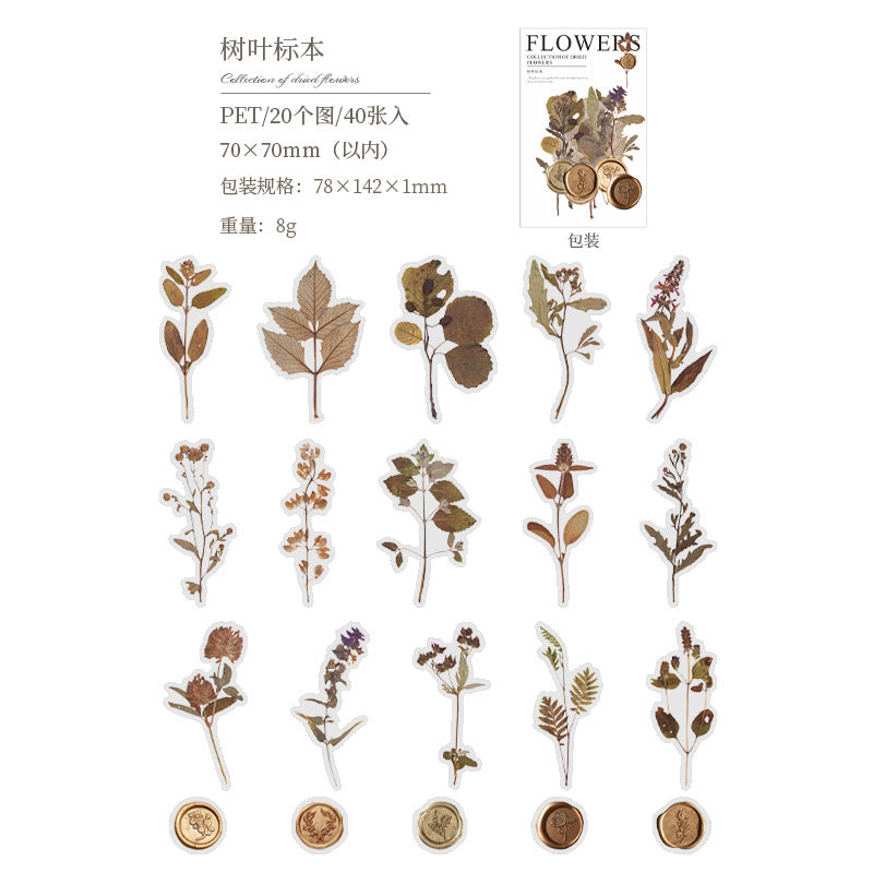 PET Sticker Pack - Dried Flower Collection Series, 40 Sheets - ViktaShop