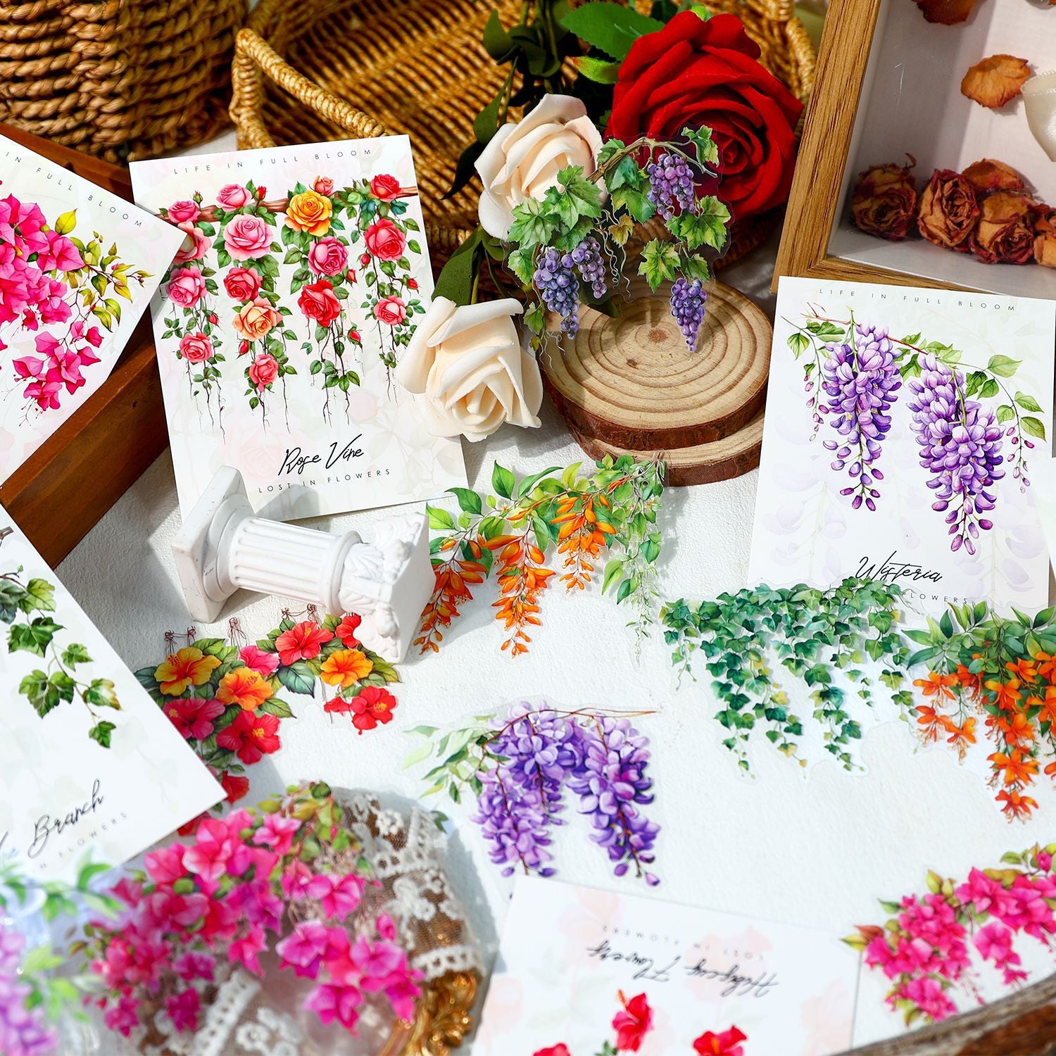 Ancient Forest PET Sticker Pack, Vine Branch & Flower Series, 6 Options - ViktaShop
