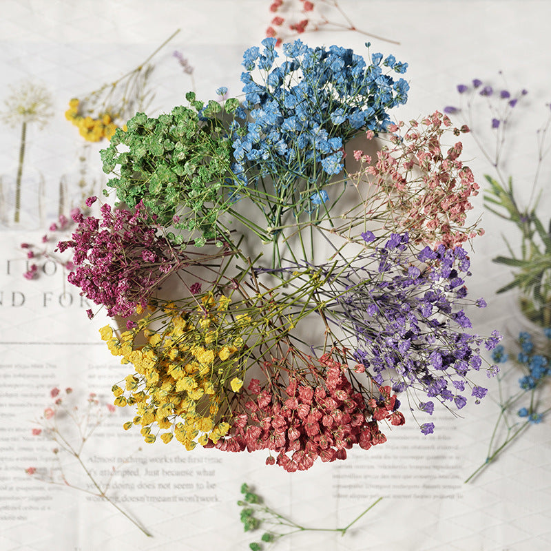 Dried Flower Stickers – Colorful Plant Material DIY, 9 Options - ViktaShop