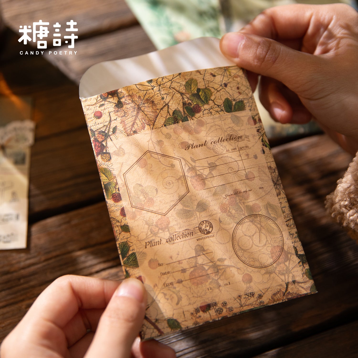 Natural Observation Room Series Retro Washi Stickers 6 Styles 50 Pcs