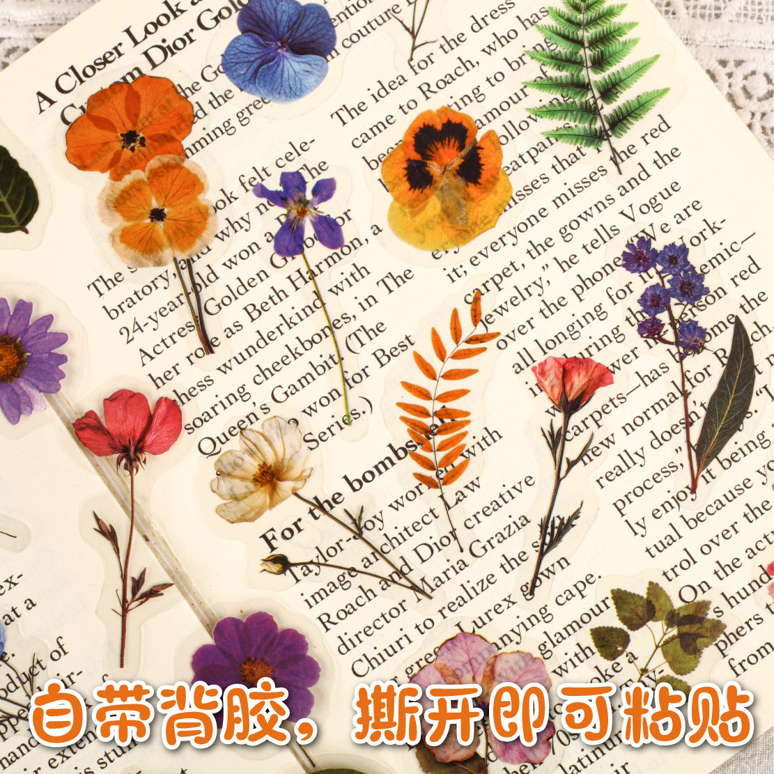Dried Flower PET Sticker, 6 Options - ViktaShop