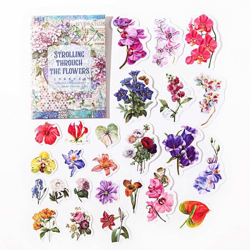 Natural Observation Room Series Retro Washi Stickers 6 Styles 50 Pcs