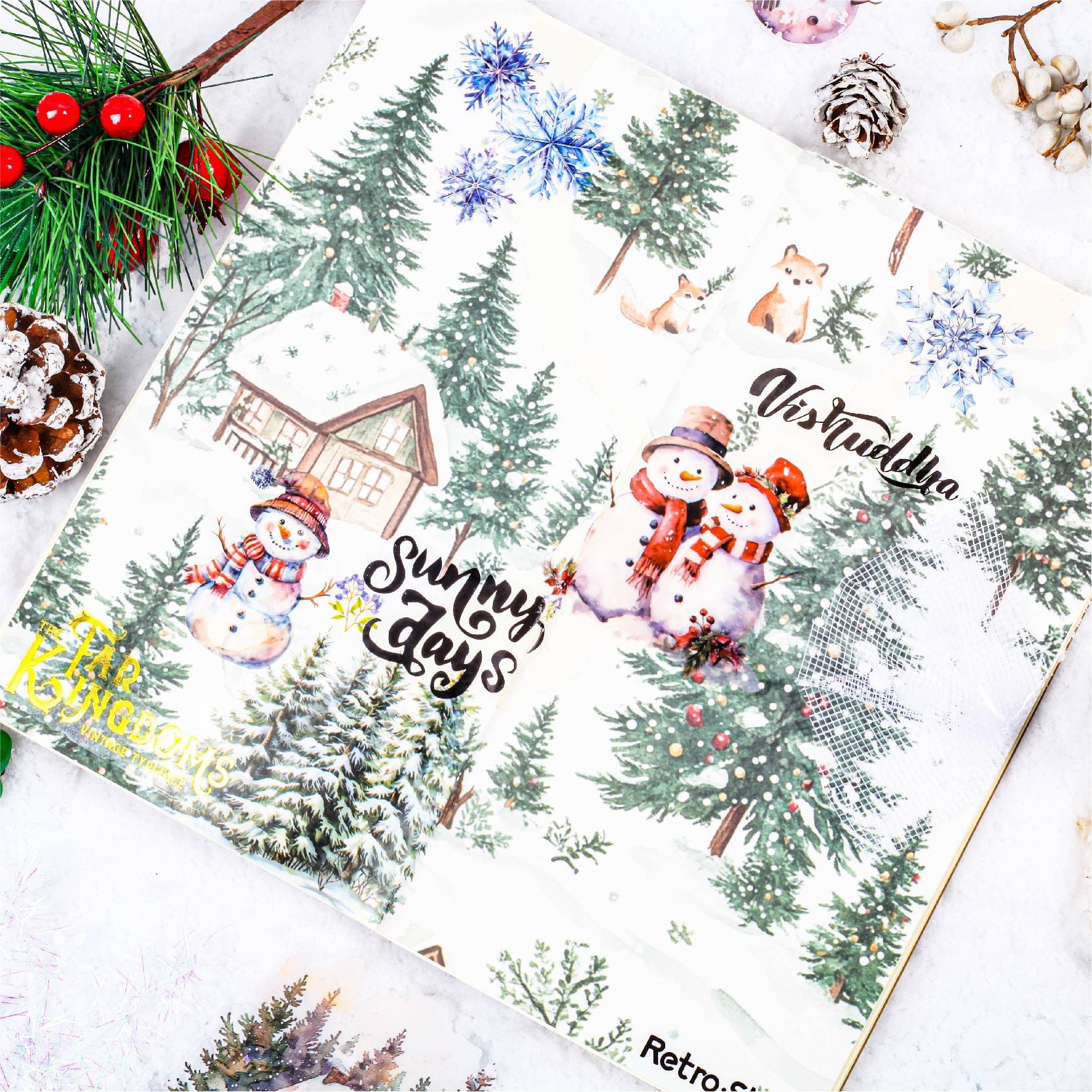 Ice & Snow Sticker Pack - PET - ViktaShop