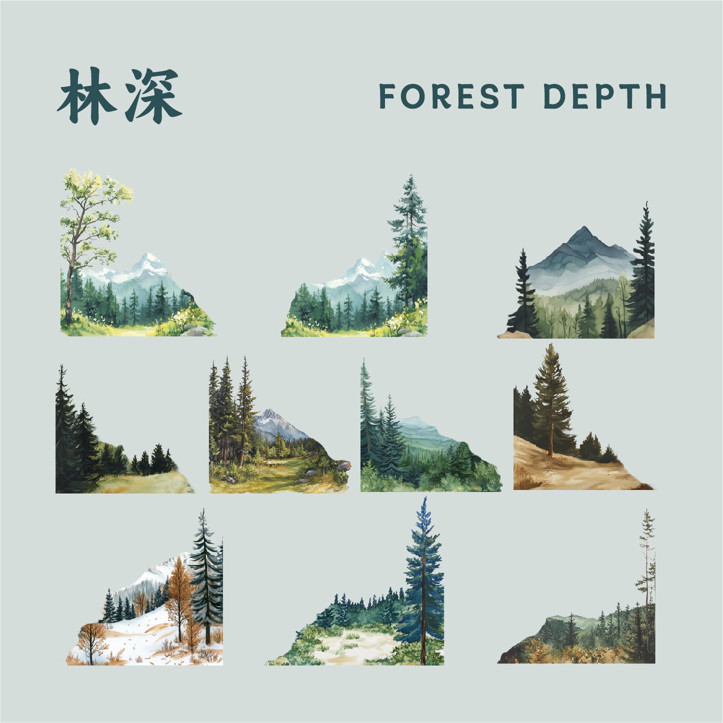 Natural Edge Stickers - PET - ViktaShop