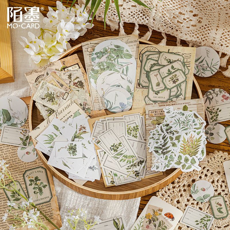 Sticker Bag Retro Plant DIY Background, 6 Options - ViktaShop