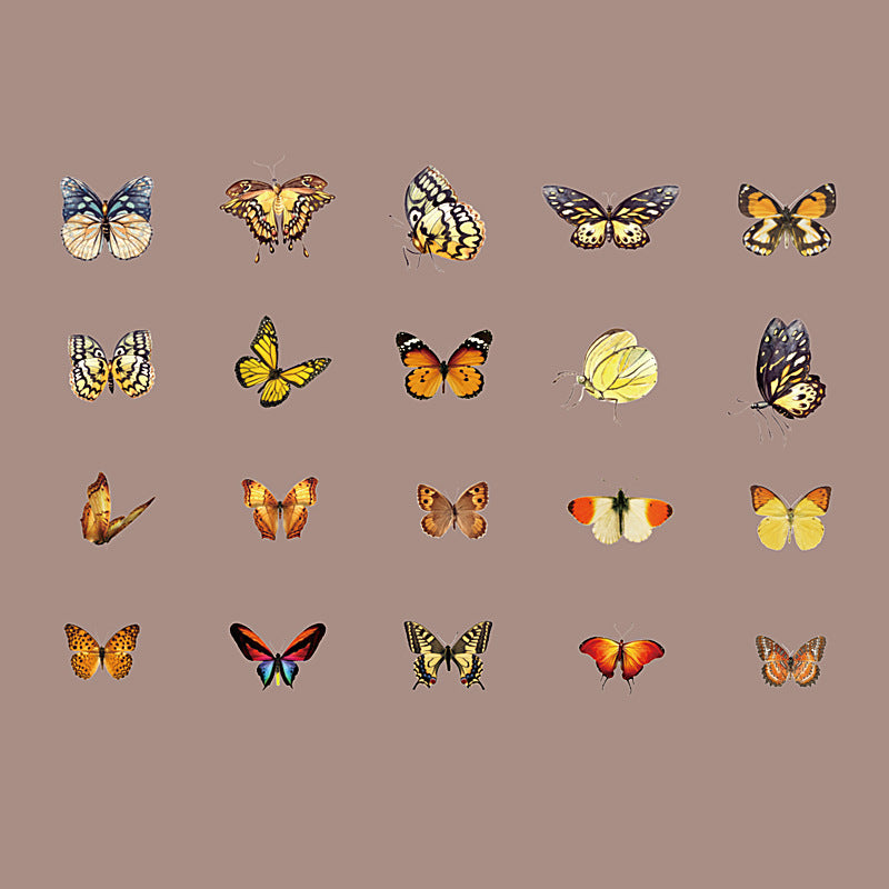 Simulation butterfly sticker package 20 psc