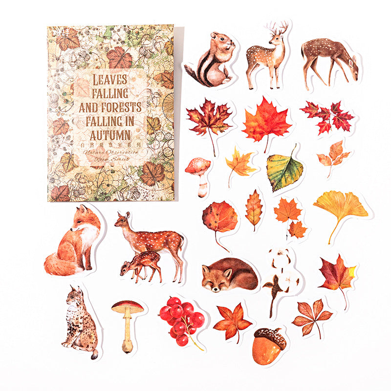 Natural Observation Room Series Retro Washi Stickers 6 Styles 50 Pcs