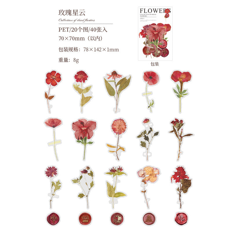 PET Sticker Pack - Dried Flower Collection Series, 40 Sheets - ViktaShop