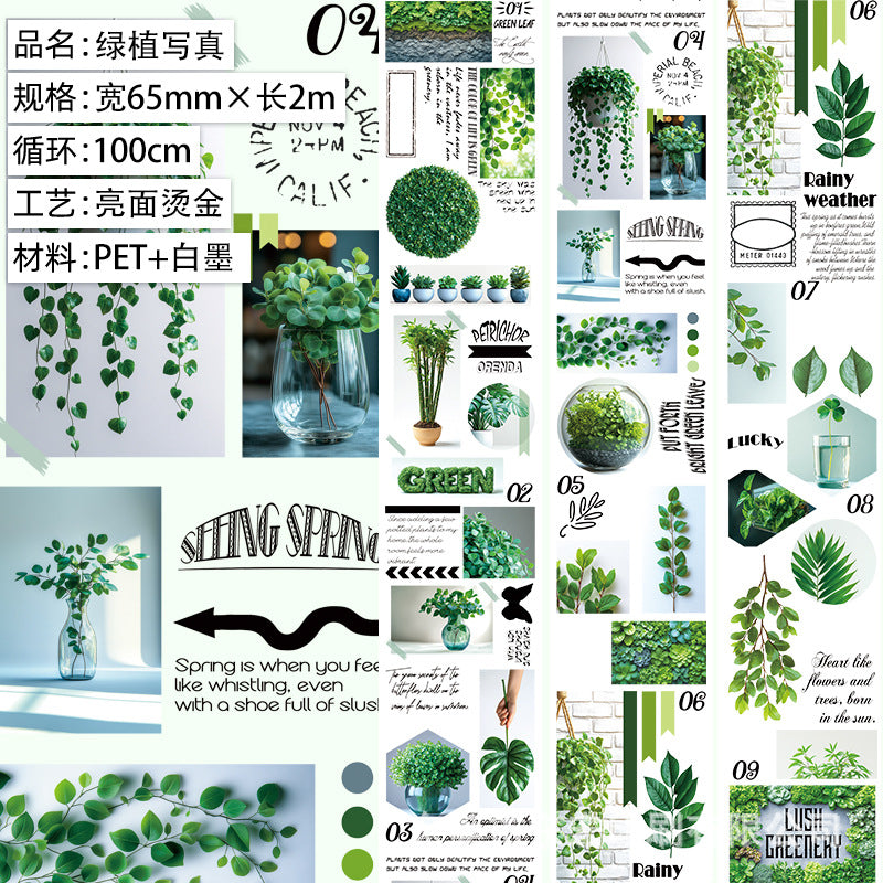 Maillard Character & Floral Matte PET Tape – 1 m - ViktaShop