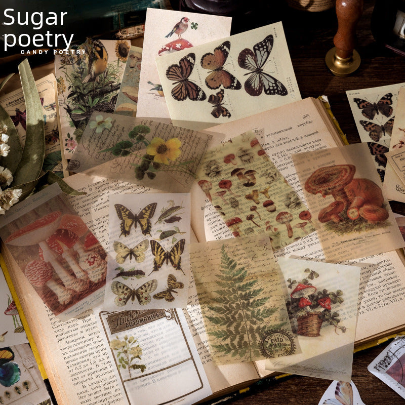 Vintage Design Stickers - Retro Aesthetic, 60 Pcs - ViktaShop