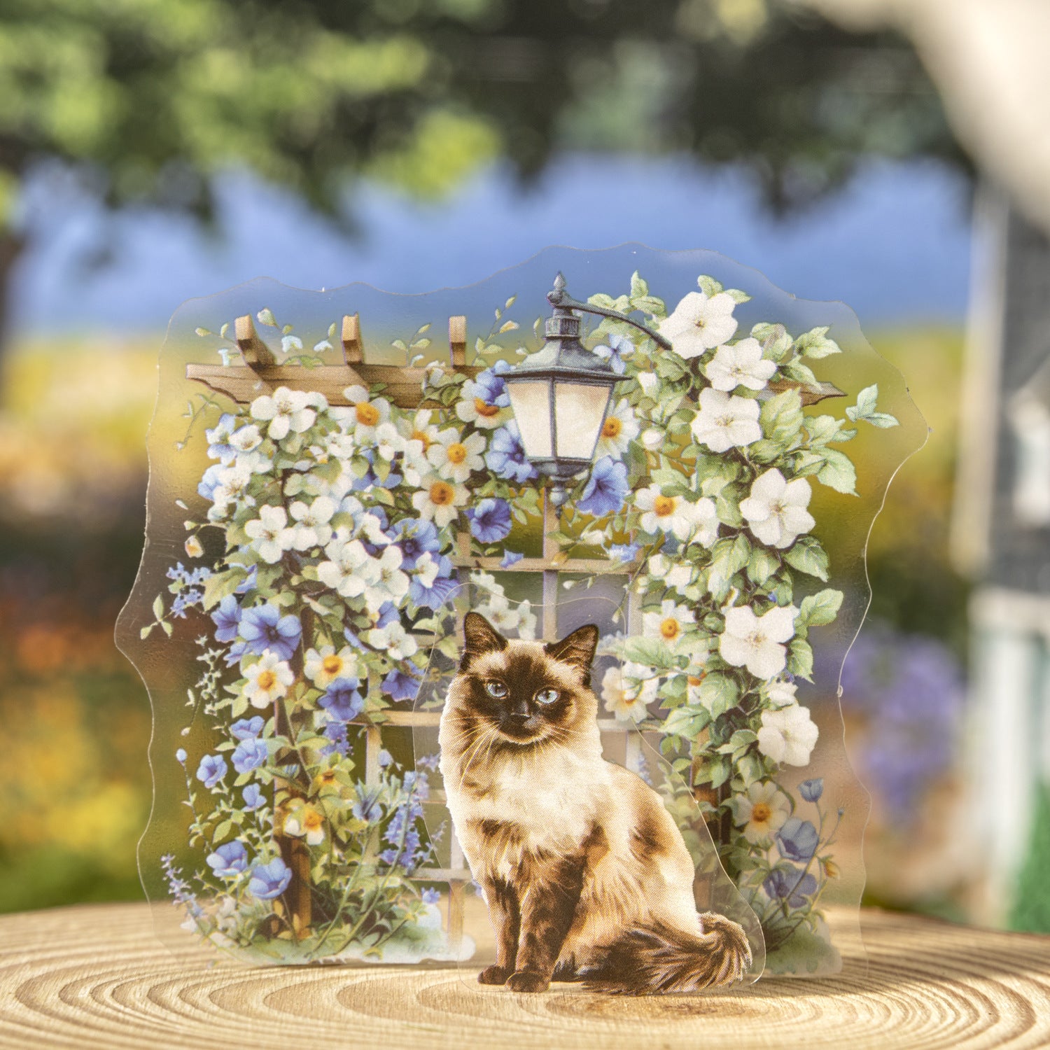 PET Sticker - Backyard Cat Series, Fence Cat, 15 Pcs - ViktaShop