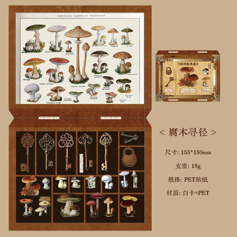 Old Wooden Label Box Series PET Die-cutting Sticker, 4 Pcs - ViktaShop