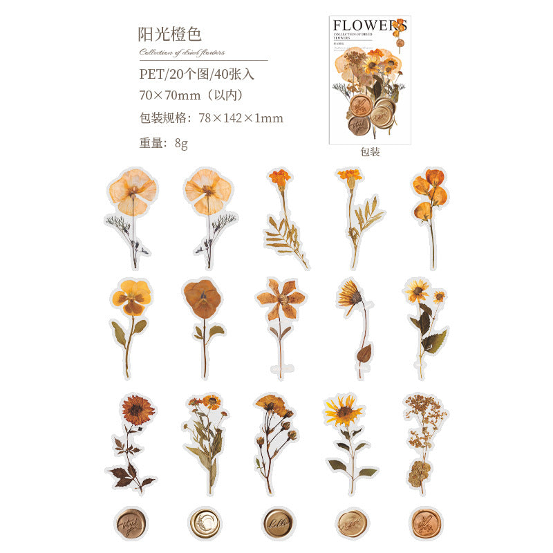 PET Sticker Pack - Dried Flower Collection Series, 40 Sheets - ViktaShop