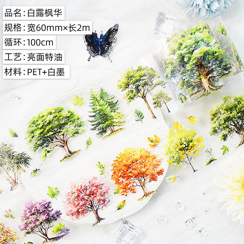 Floral PET Journal Tape - Shell Light Decorative Stickers, 2m - ViktaShop