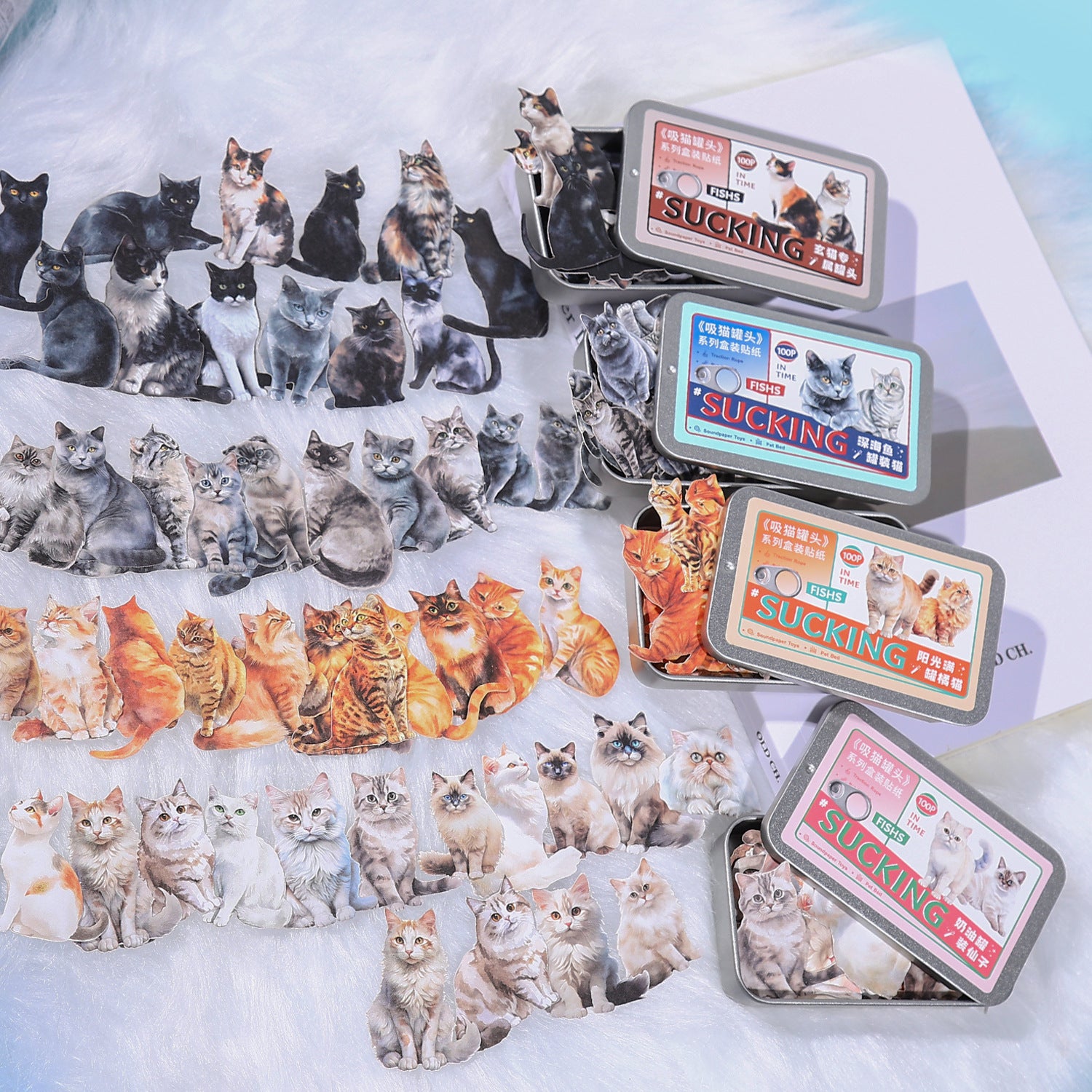 Boxed Stickers – Cat Series, 4 Options - ViktaShop