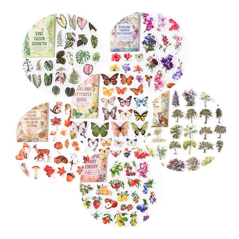 Natural Observation Room Series Retro Washi Stickers 6 Styles 50 Pcs
