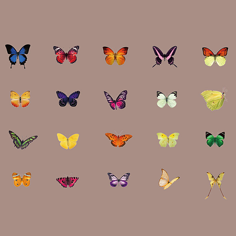 Simulation butterfly sticker package 20 psc