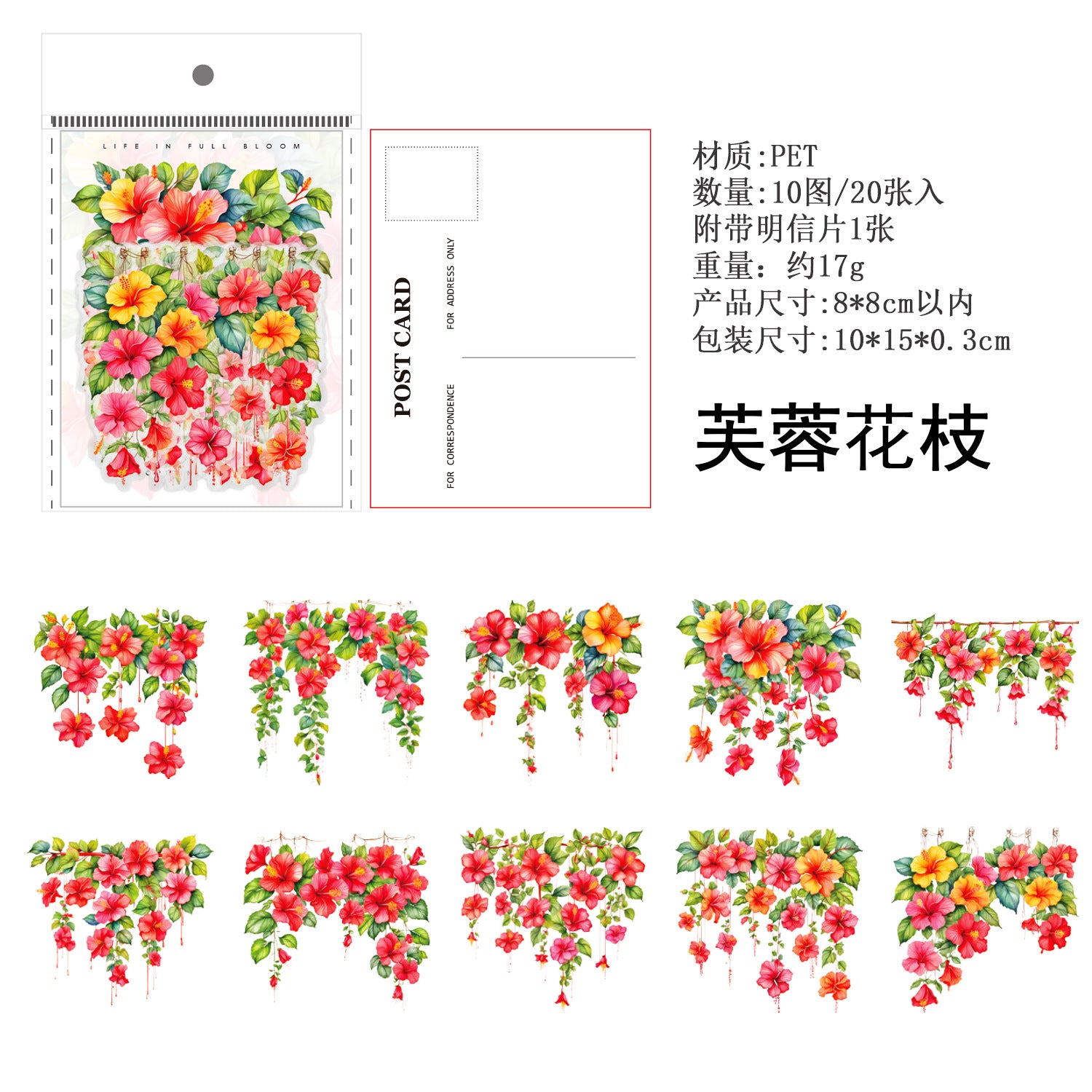 Ancient Forest PET Sticker Pack, Vine Branch & Flower Series, 6 Options - ViktaShop