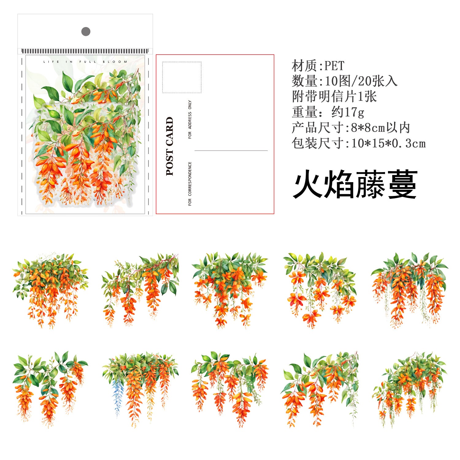 Ancient Forest PET Sticker Pack, Vine Branch & Flower Series, 6 Options - ViktaShop