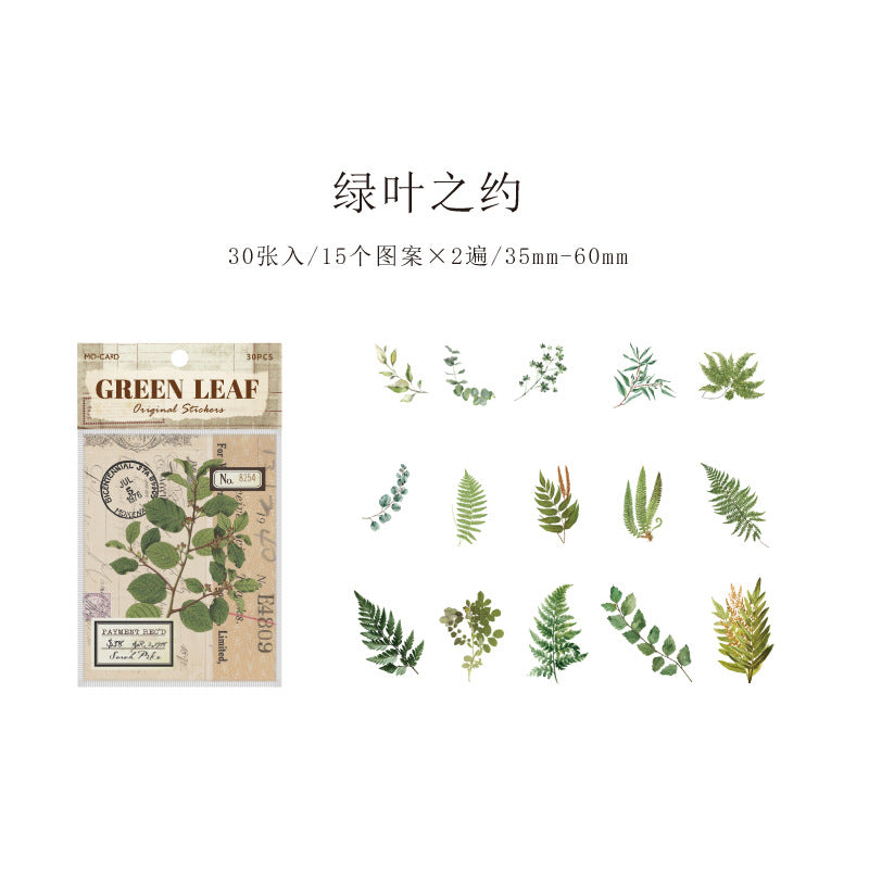 Sticker Bag Retro Plant DIY Background, 6 Options - ViktaShop