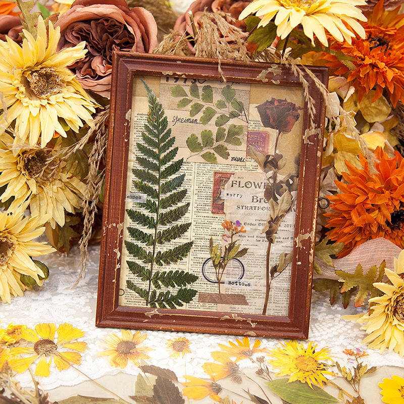 Large PET Flower Stickers for Scrapbooking - ViktaShop