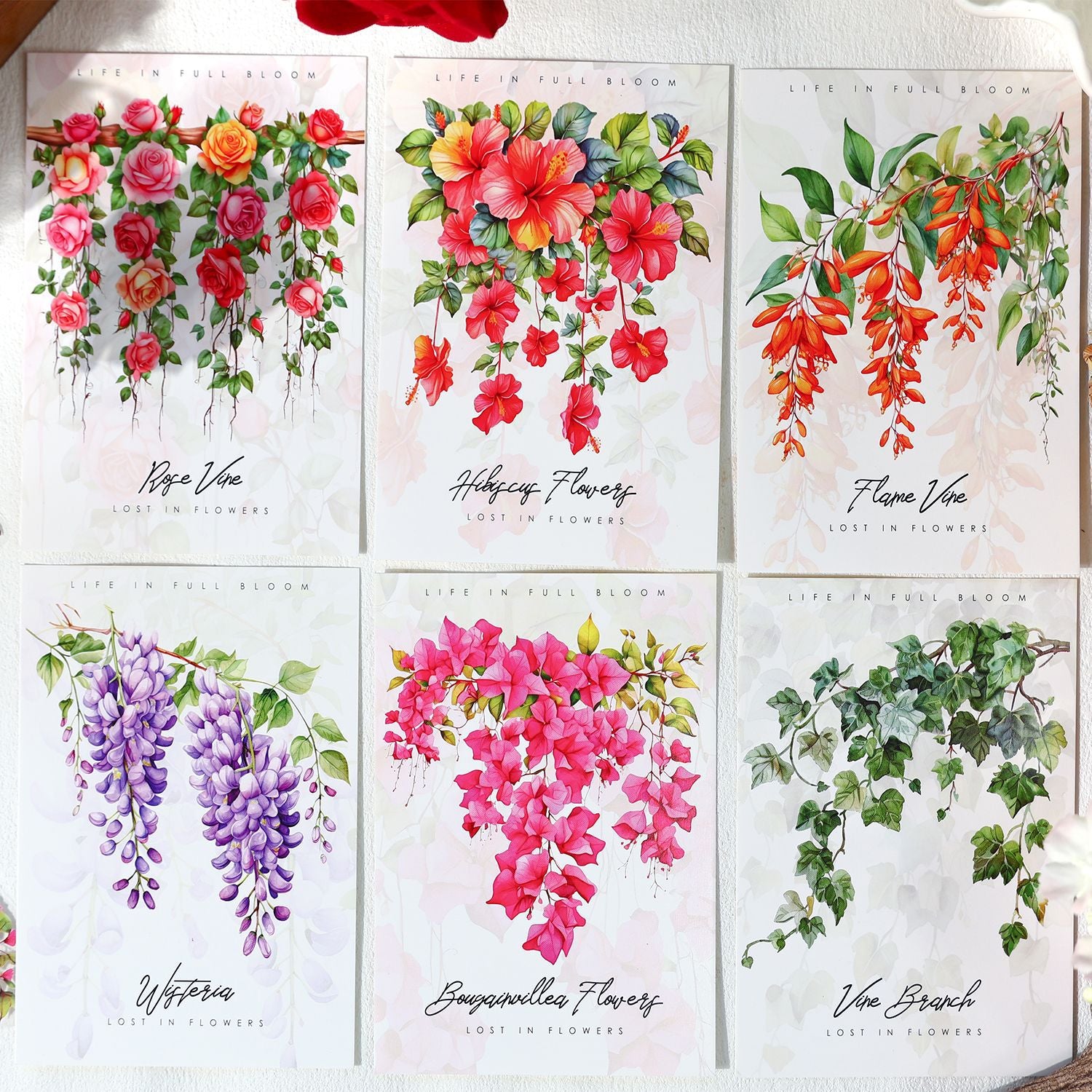 Ancient Forest PET Sticker Pack, Vine Branch & Flower Series, 6 Options - ViktaShop
