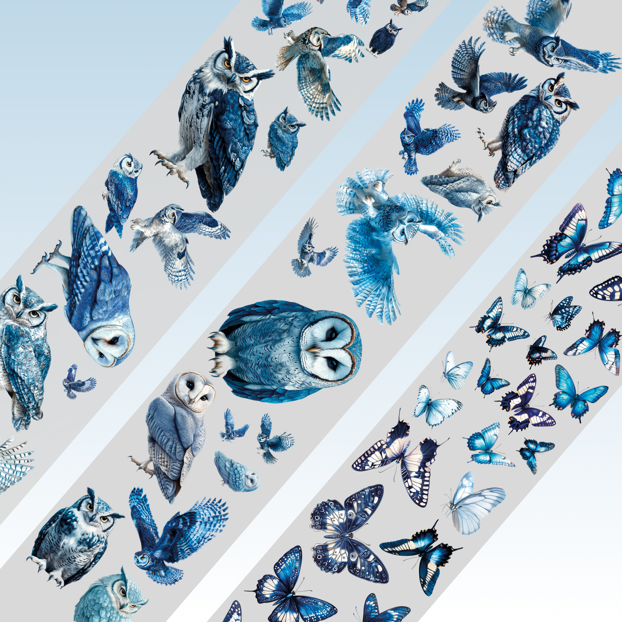Queens Art Owl PET Tape 6cm x 2.5m