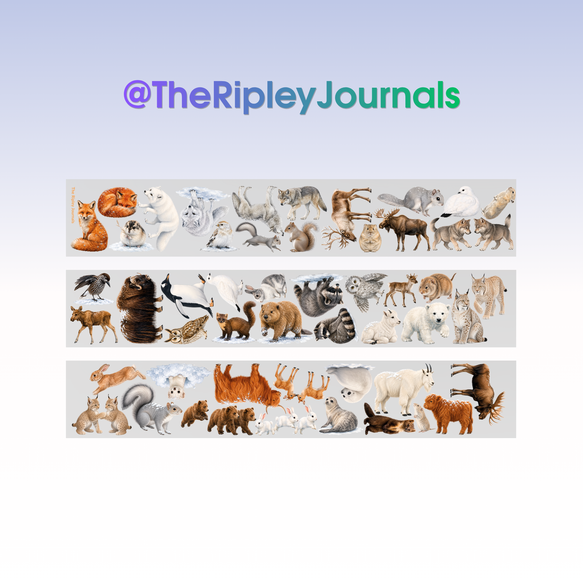 The Ripley Journals Winter Animals PET Tape 7cm x 1,25m