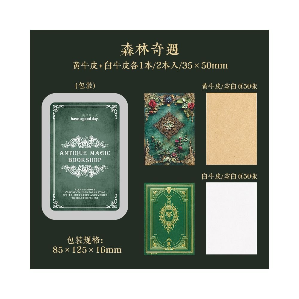 Antique Magic Bookstore Mini Book 4 Styles - ViktaShop