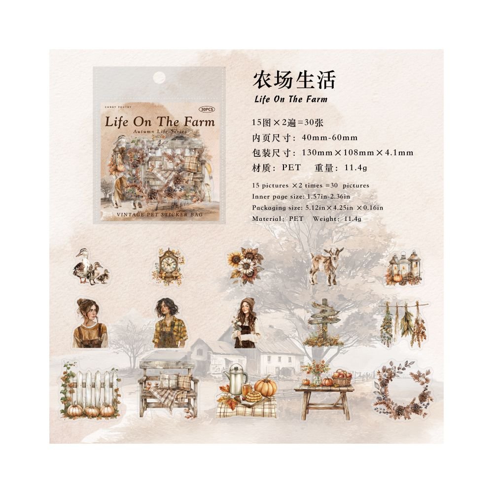 Autumn Life Series PET Stickers 6 Styles 30 Pcs - ViktaShop