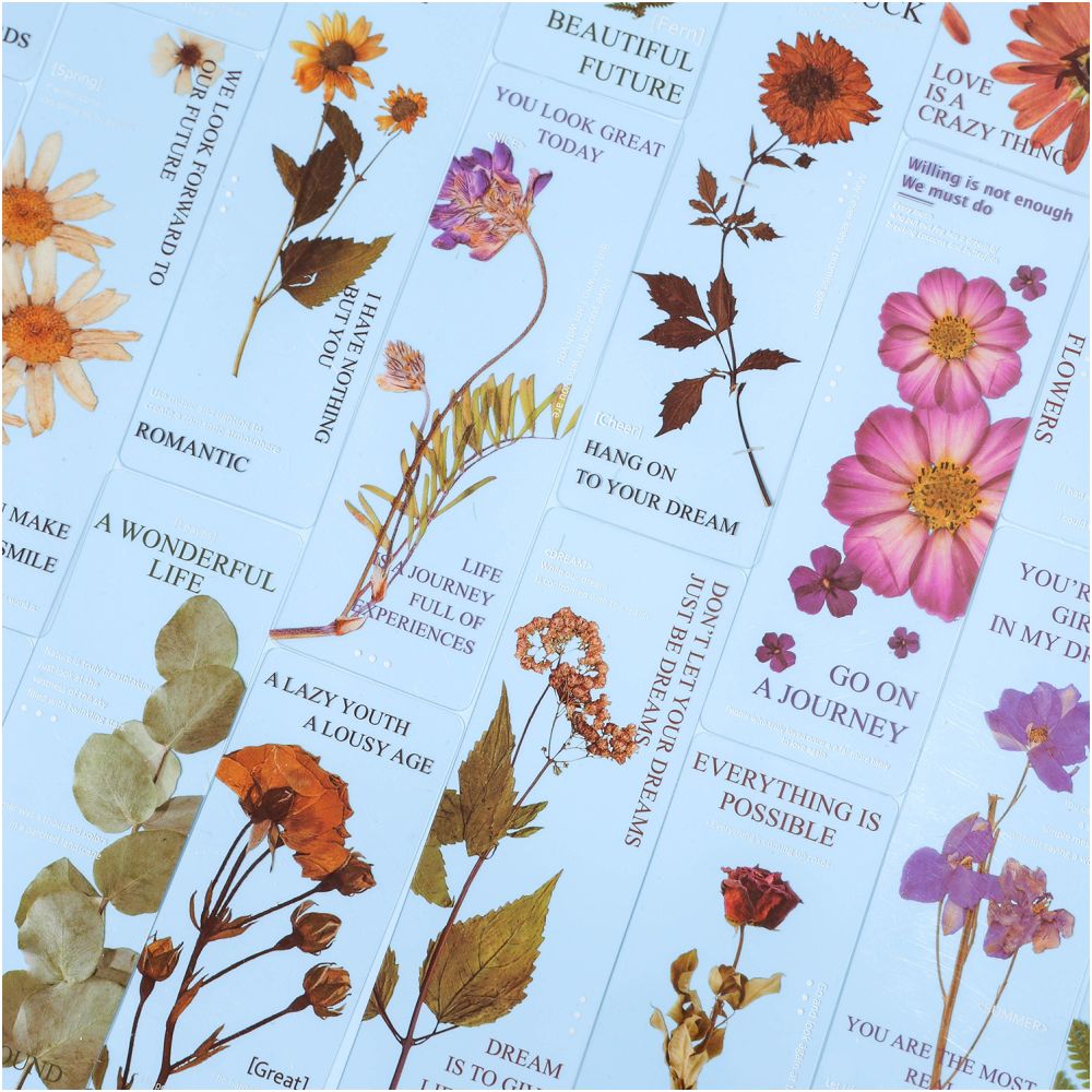 Forest Garden Series PET Stickers 4 designs 5 Sheets - ViktaShop