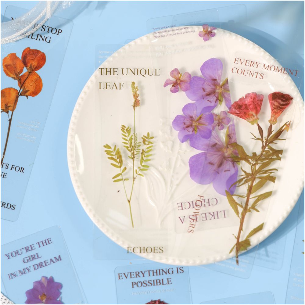 Forest Garden Series PET Stickers 4 designs 5 Sheets - ViktaShop