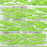 Green Graslland Leaves Nature PET Tape 7 Style - ViktaShop