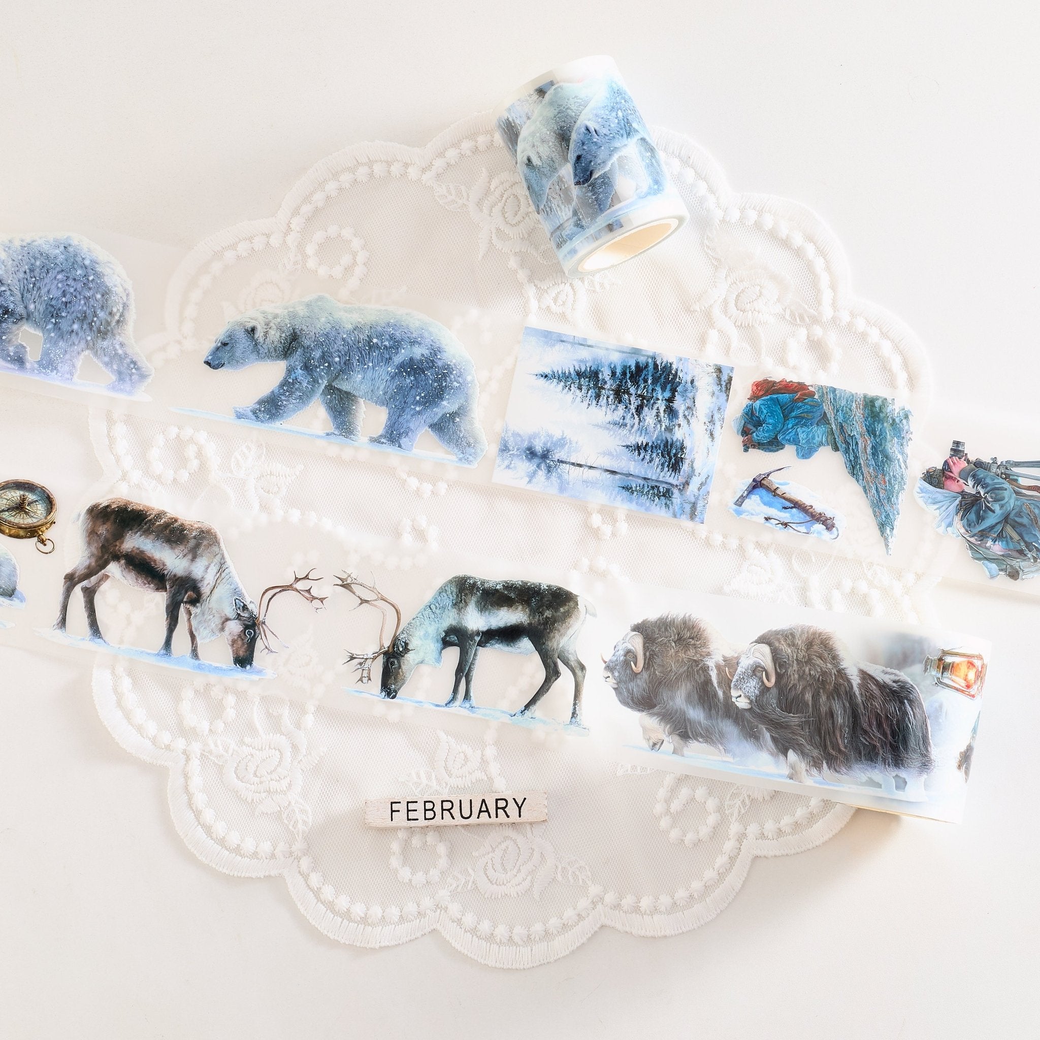 Shiimmer The North Pole Vol.1 PET Tape 6cm x 1m - ViktaShop