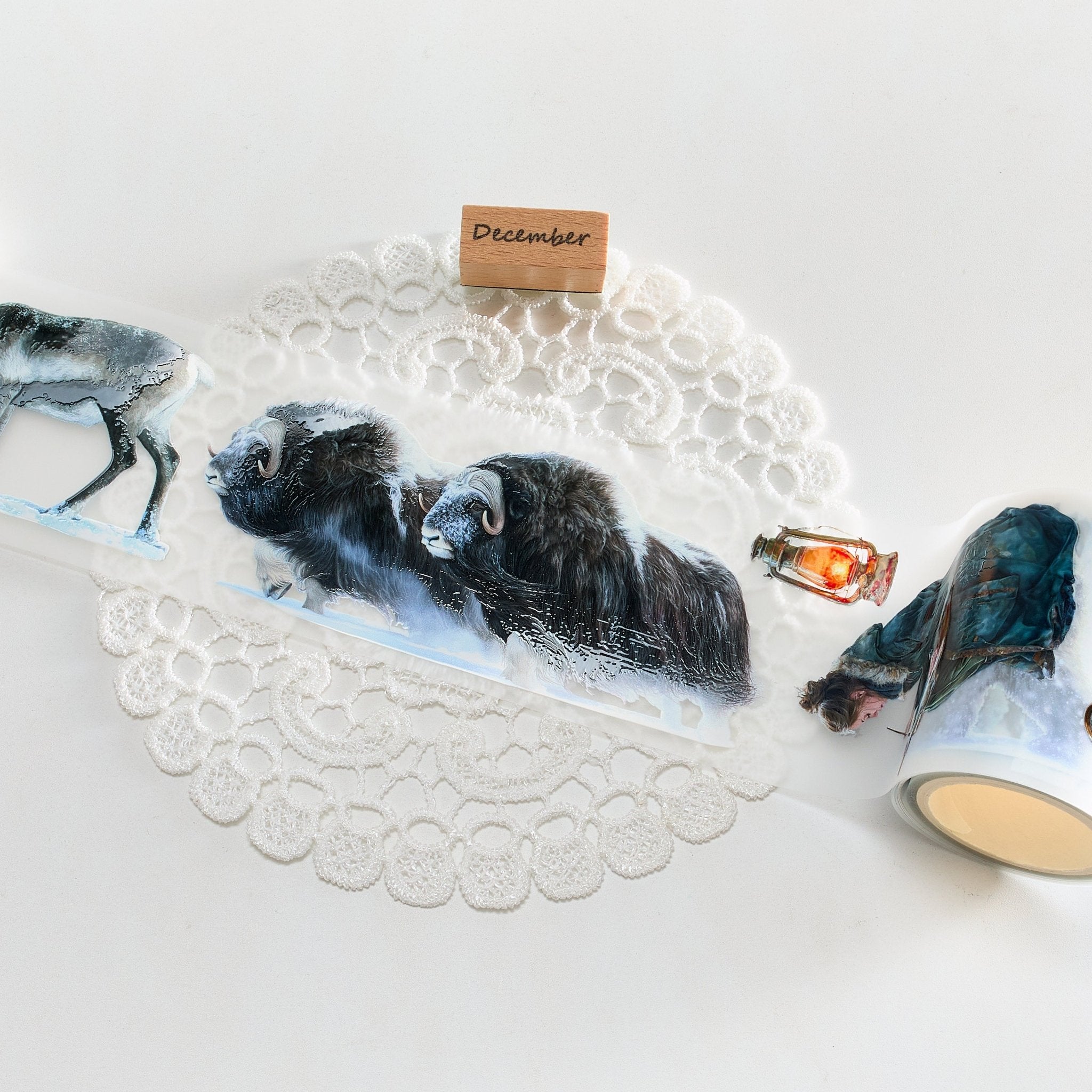 Shiimmer The North Pole Vol.1 PET Tape 6cm x 1m - ViktaShop