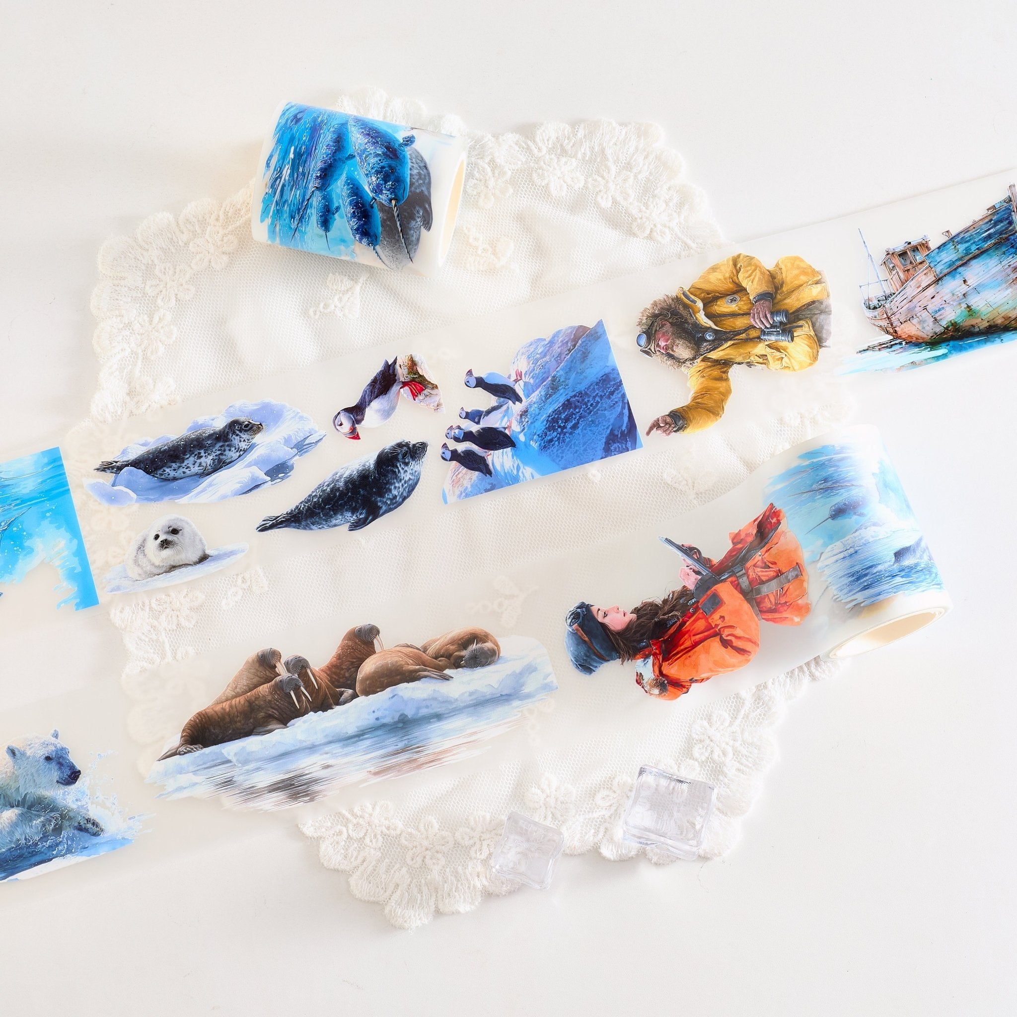 Shiimmer The North Pole Vol.2 PET Tape 6cm x 1m - ViktaShop