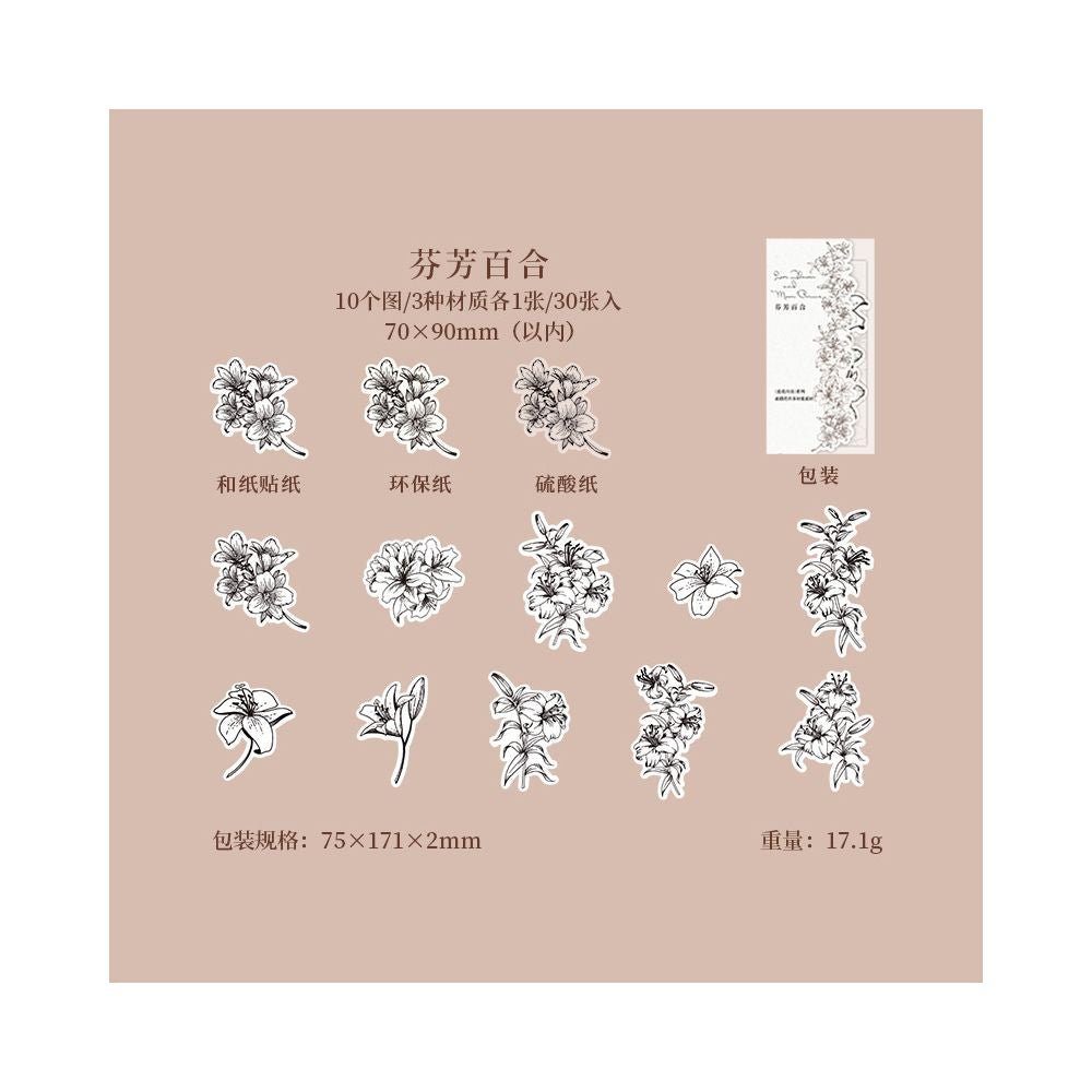Sketch of Flowers and Plants Paper Stickers 6 Designs 30 Pcs - ViktaShop