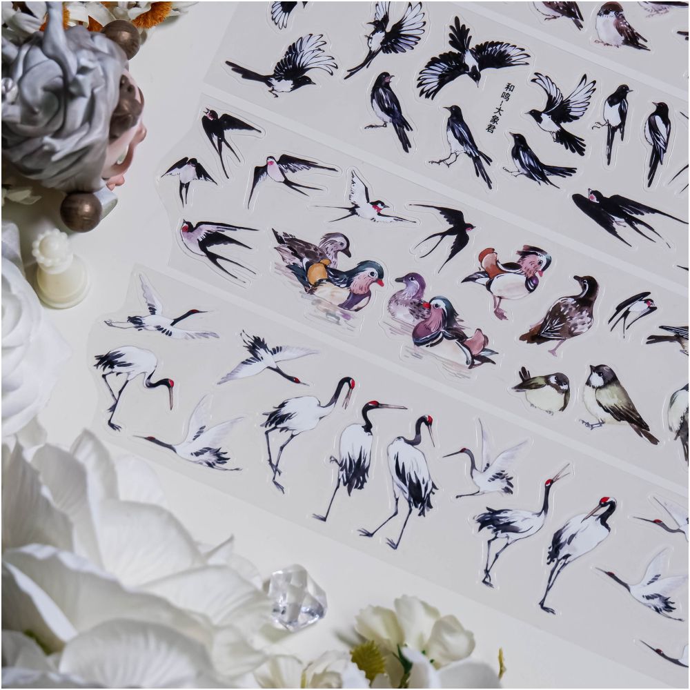 Small Birds Wild Geese and Flock of Birds PET tape 5cm x 1m - ViktaShop
