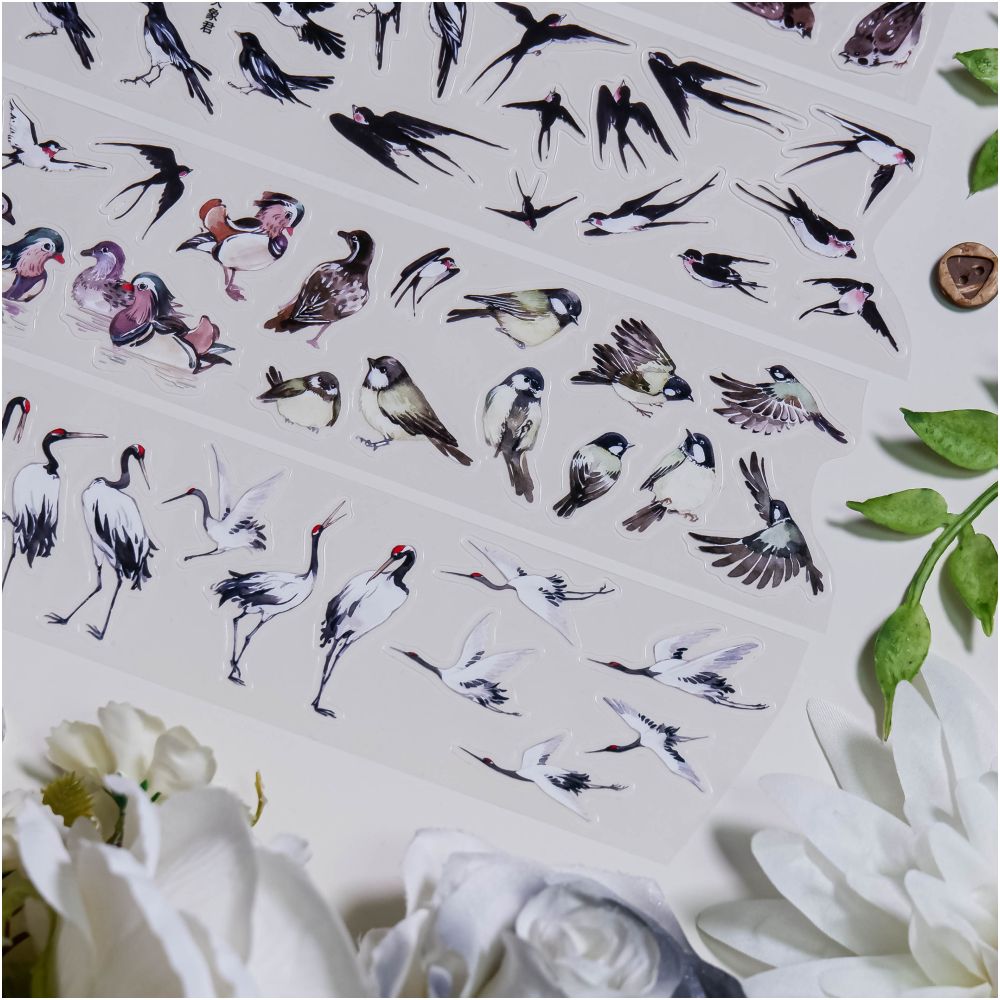 Small Birds Wild Geese and Flock of Birds PET tape 5cm x 1m - ViktaShop