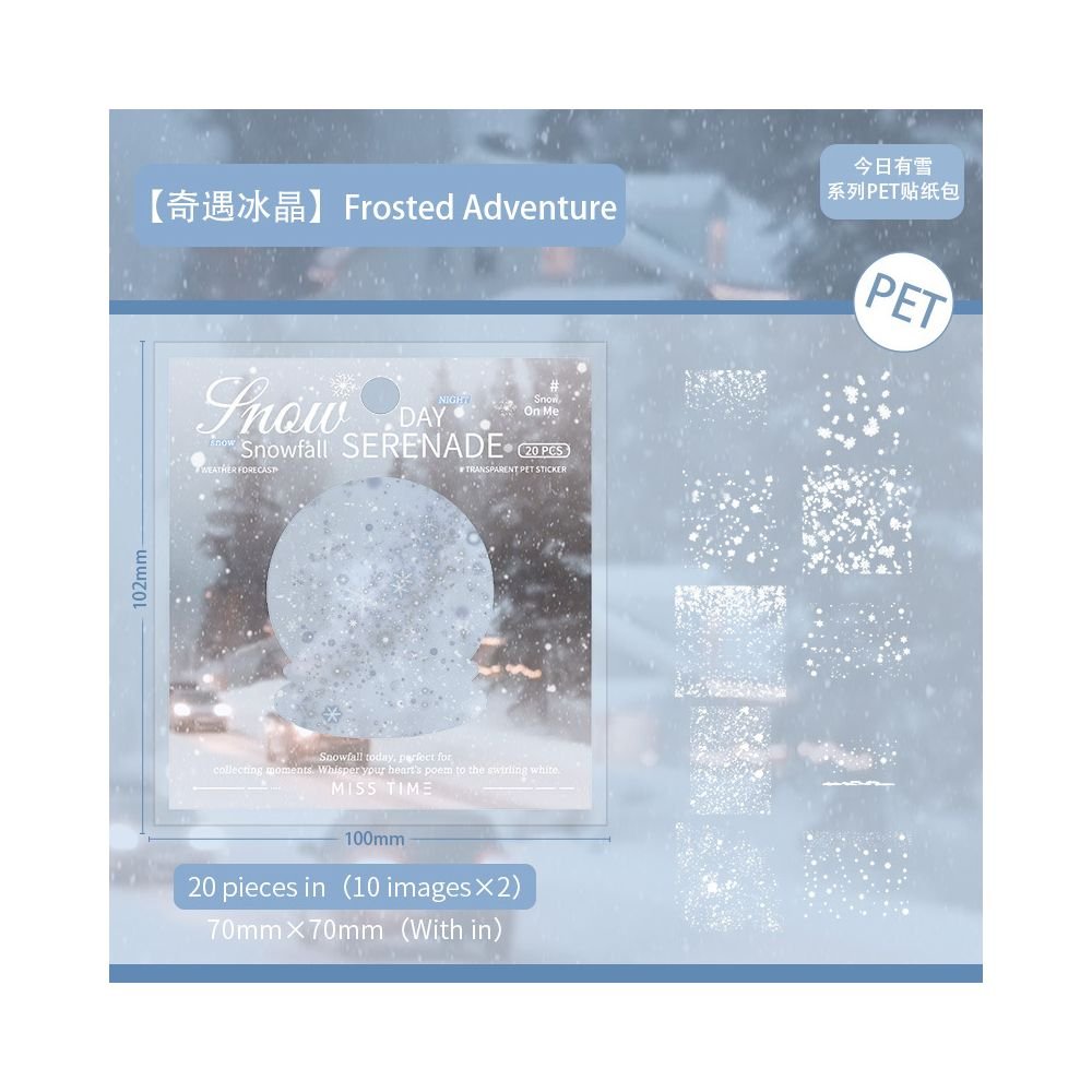 Snowing series PET sticker pack 6 designs 20 Pcs - ViktaShop