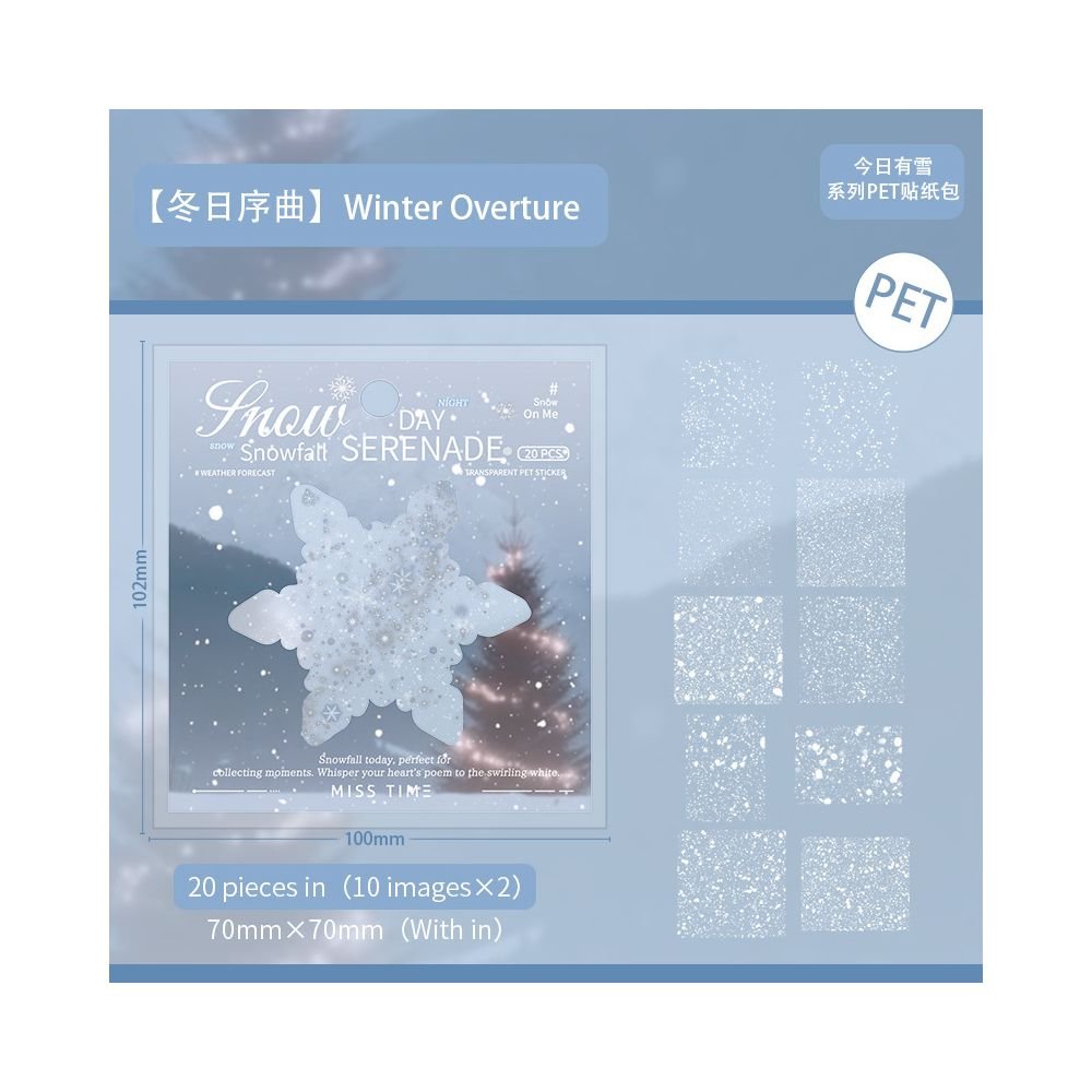Snowing series PET sticker pack 6 designs 20 Pcs - ViktaShop