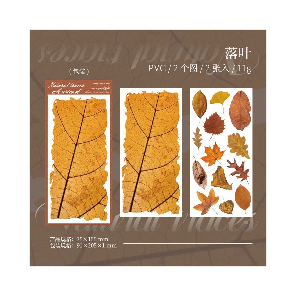 Transfer Stickers Natural Trace Series 2 Sheets 6 Styles - ViktaShop